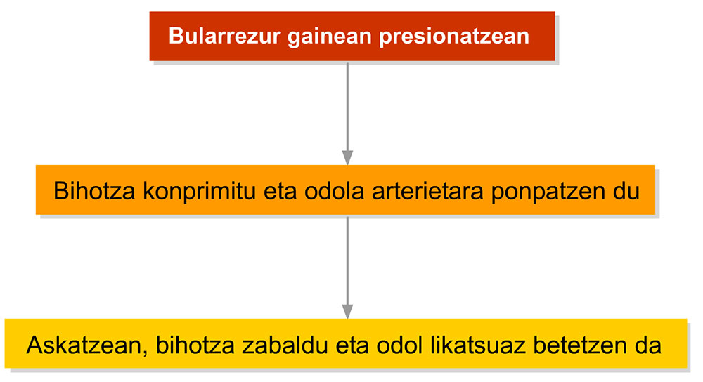 Bihotz-biriketako suspertzea