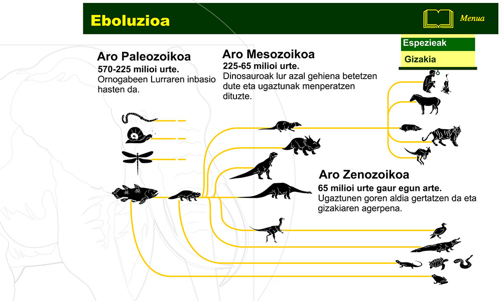 Giza espeziearen eboluzioa 1