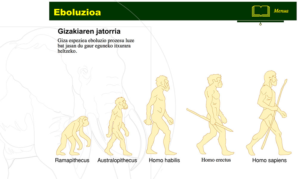 Giza espeziearen eboluzioa 2