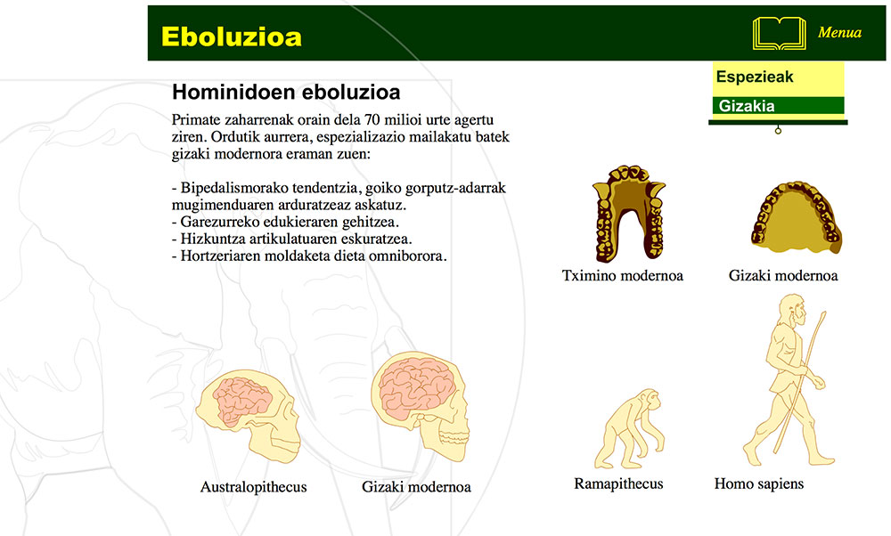 Giza espeziearen eboluzioa 3