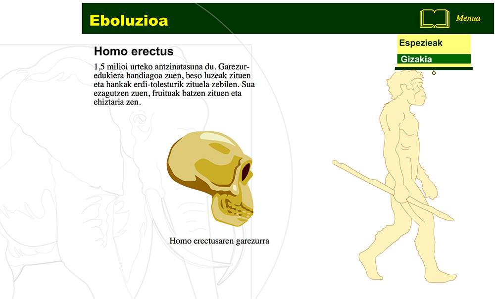 Giza espeziearen eboluzioa 7