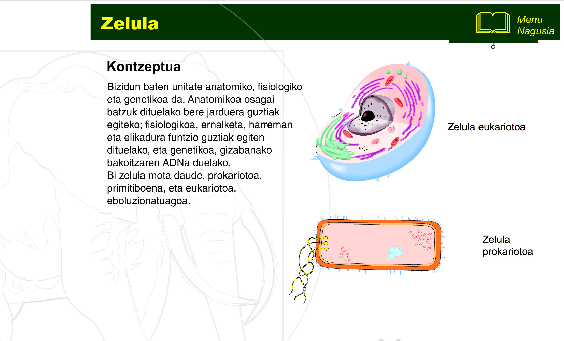 zelula-prokariotoa-eta-eukariotoa-1