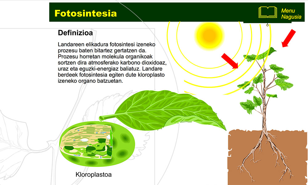 Fotosintesia