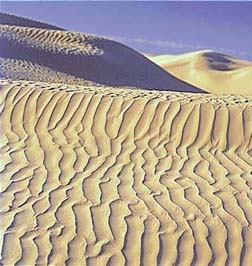 Campo de dunas en el desierto del Sahara, África