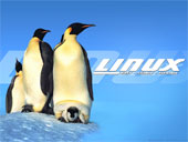 Linux