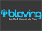 blaving20110208_t.jpg